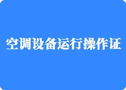 小骚货用大鸡吧操死你在线看制冷工证